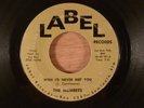 The Members Wish I'd Never Met You/Jenny-Jenny FL Garage 1965 Label Records