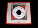 Ray Paige 45 RCA 47-9047 Don't Stop Now b/w Ain't No Soul Promo Northern 1966 M-