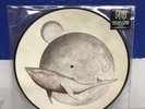 Gojira ‎From Mars To Sirius 2LP Picture Disc Limited Edition Vinyl New