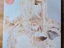 Pale Saints – In Ribbons (30th Anniversary Re:Masters) 12