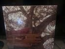 The Backseat Lovers - Waiting To Spill Spotify Fan First Clear Vinyl With 7