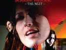 PRESALE - Jeannie Piersol - The Nest - Vinyl LP
