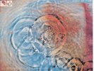 Pink Floyd - One Of These Days (Japan) ++ used ++