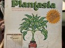 MOTHER EARTH'S PLANTASIA 1976 ORIG VINYL LP +BOOKLET RARE MOOG SYNTH Mort Garson