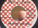 RARE Detroit Northern Soul 45 EDWARD HAMILTON & THE ARABIANS I’m Gonna Love You*