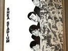 Beatles Shea Stadium Records