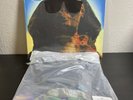 KISS HOT IN THE SHADE 35th ANNIVERSARY DELUXE PICTURE DISC  066/500