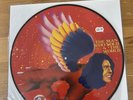 David Bowie - The Man Who Sold The World - 2016 RSD Vinyl Picture Disc - NM