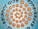 Acid Junkies - Paranoid Experience (2x12