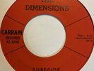 Surf Instro 45 THE DIMENSIONS Surfside CARRAM To Be Young HEAR