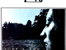 Try - Just A Try LP (VG+/VG) .