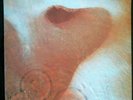 Pink Floyd ‎– Meddle LP Album Gat UK VG+/VG+ Factory Sample Sticker