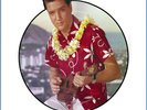 Elvis Presley Blue Hawaii Vinyl LP Geformte Bild Disc Neu E Versiegelt