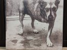 Alice in Chains LP Alice in Chains (Double Vinyl (Yellow/White) Columbia [Mint]