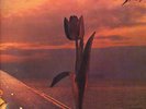 PRETTY THINGS-LP- PARACHUTE- ORG. HARVEST 1C062....GERMANY-FOC- 1970