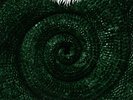 Trauma Ray - Chameleon [Colored Vinyl] NEW Vinyl