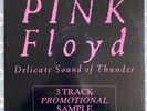 PINK FLOYD - Delicate Sound of Thunder **3 TRACK 12