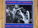 Youth Of Today Break Down The Walls LP Wishingwell 1986 Gorilla Biscuits Judge