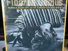 Julian Cope The Teardrop Explodes : Floored Genius Best Of Vinyl LP ILPSD 8000