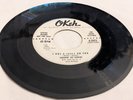 Screamin Jay Hawkins I PUT A SPELL ON YOU/ LITTLE DEMON promo 45 Okeh 4-7072 WLP