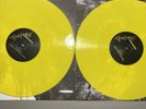 Beyonce Lemonade Yellow Vinyl Discs Signed In Hand Gold Sharpie + Picture Packet