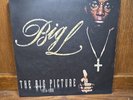 BIG L - THE BIG PICTURE (VINYL 2LP) 2000  RARE  FAT JOE + A.G. + O.C. / D.I.T.C.