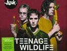 Ash Teenage Wildlife: 25 Years of Ash Double LP Vinyl NEW
