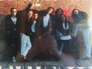 VILMA PALMA E VAMPIROS - La Pachanga Vinyl LP