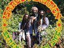 Strength of My Life by Israel Vibration (Record, 2024)