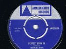 IMMORTALS-PERFECT BORN YA-RED RED WINE AMALGAMATED UK 1970 EX+