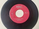 Daryl Petty 1959 DOO WOP TEEN 45 Flaming Love / The Day I Die HORNET G+ Hear