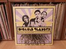 Digable Planets Beyond the Spectrum Vinyl Record 2LP Blue Note 2005 NEW
