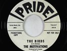 Garage Surf Exotica Inst. 45 - Motivations - The Birds/Motivate - Pride