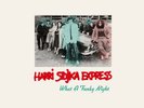 Harri Stojka Express 