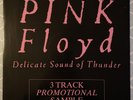 PINK FLOYD - Delicate Sound of Thunder **3 TRACK 12
