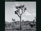 Loop Diary - Music For Joshua Tree [New Vinyl LP] Ltd Ed