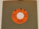 Johnny Freedom - Ain't I Right/My Own Native Land (1966) 7