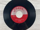 The Robins Riot In Cell Block #9 / Wrap It Up 7” Vinyl 45 RPM Spark Record Co