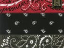 RGB: Revolutionary But Gangsta (20th Anniversary Edition) (Record Store Day B...
