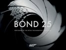 Royal Philharmonic Orchestra Bond 25 (Vinyl) 12