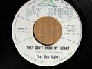The Bleu Lights - They Don't Know My Heart - BAY SOUND 67003 VG+ SOUL