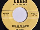 The Ravin's - Crow & Magpies / Seven Flowers 45 RARE Surf Garage Rock Psych Folk