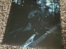 mk.gee two star and the dream police vinyl translucent green (recent production)
