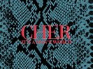 Cher It's a Man's World (Vinyl) Deluxe  12
