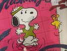 VINYL RECORD LP FLASH BEAGLE SONGS FROM PEANUTS  