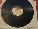 TEST PRESSING: Beyond The Calico Wall VOXX 200.051  - Psychedelic Garage Rock