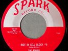 THE ROBINS   Riot in Cell Block #9    SPARK 103    M-