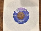 Vintage 1984 Vinyl 45 Record - Go Cubs Go - Steve Goodman & Chicago Cubs Chorus