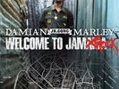 Damian Marley, Jr. Gong / Welcome To Jamrock 2005 US 2LP Tuff Gong B000541601