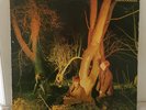 ECHO AND THE BUNNYMEN: Crocodiles US Sire SRK 6096 New Wave Rock Vinyl LP